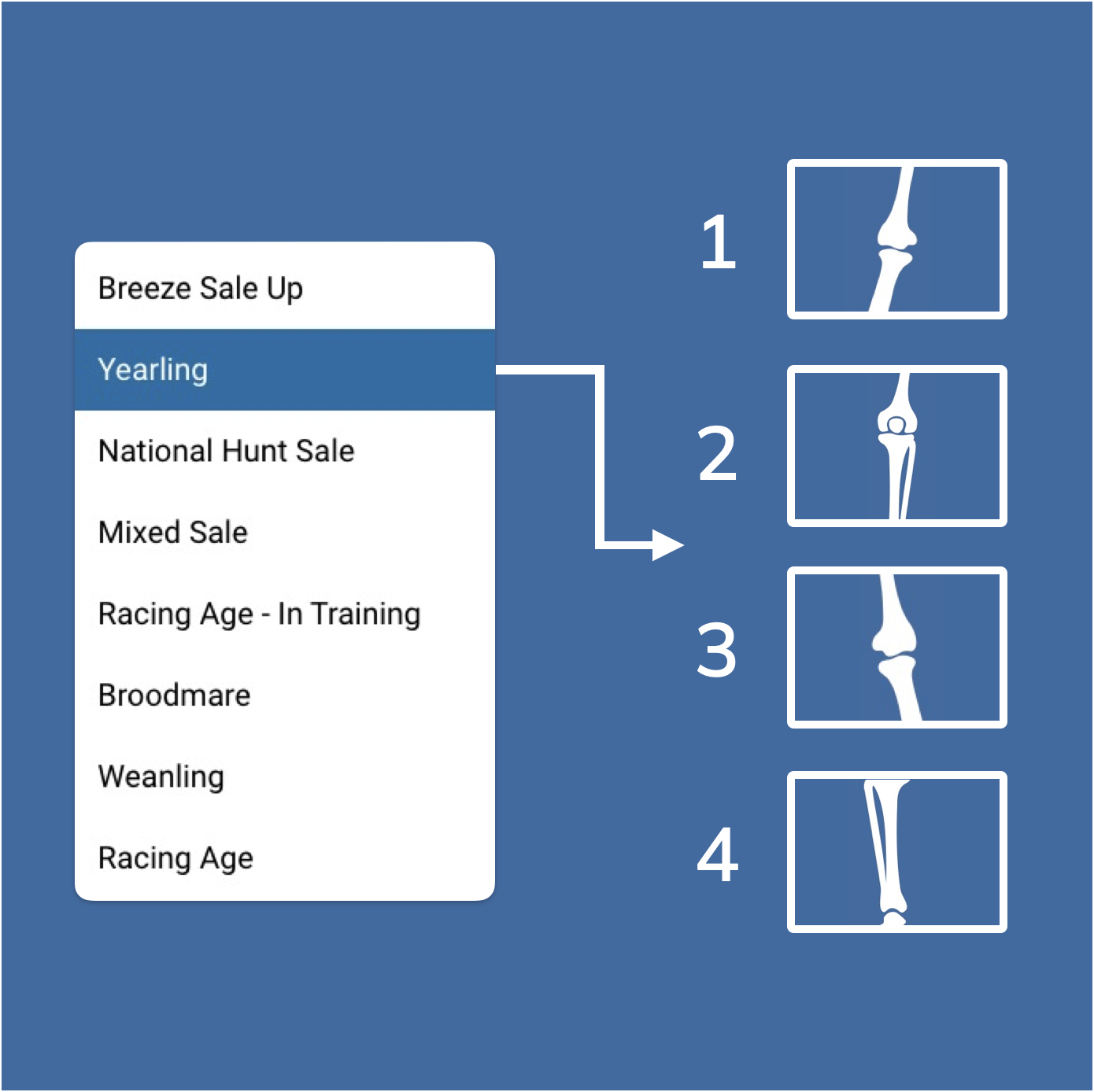 Viewer Image orders