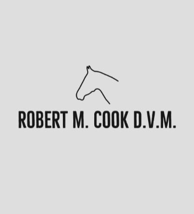 pasted-image-1-jpg
